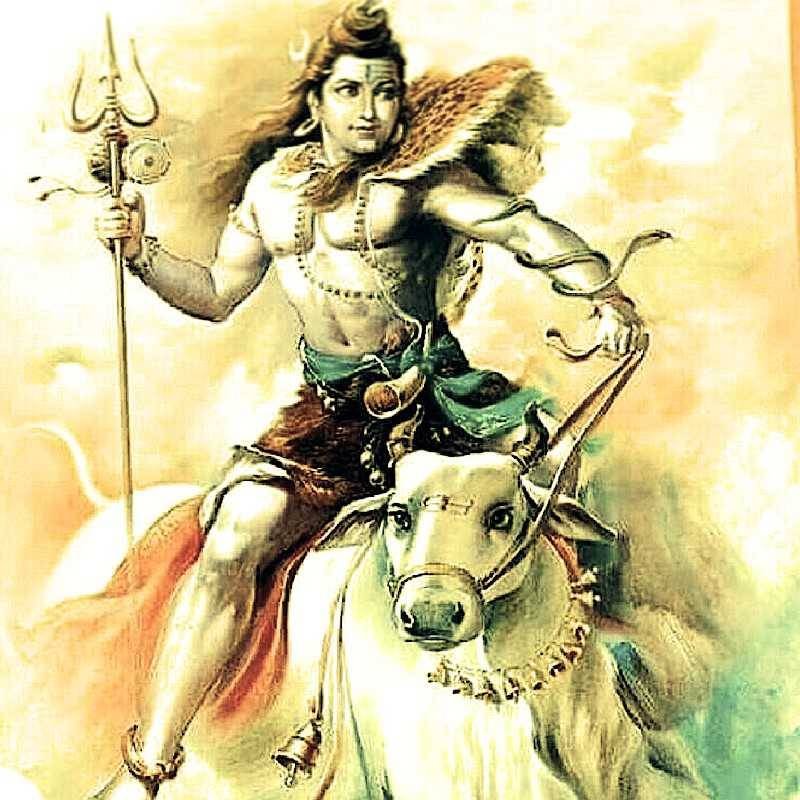 shiv 1