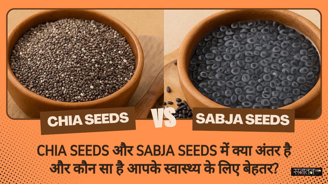 Chia Seeds Vs Sabja Seeds1
